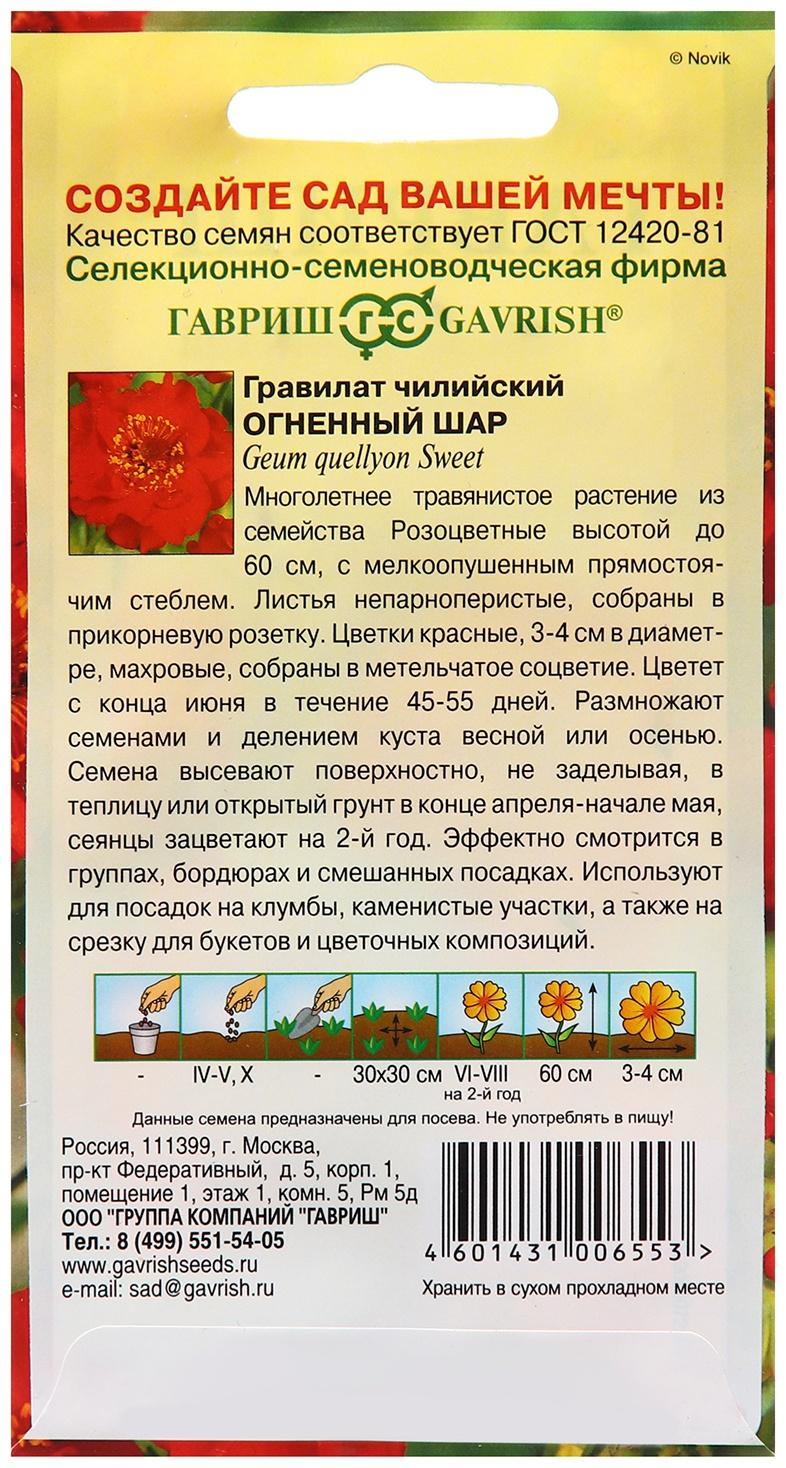 Семена Гравилат 