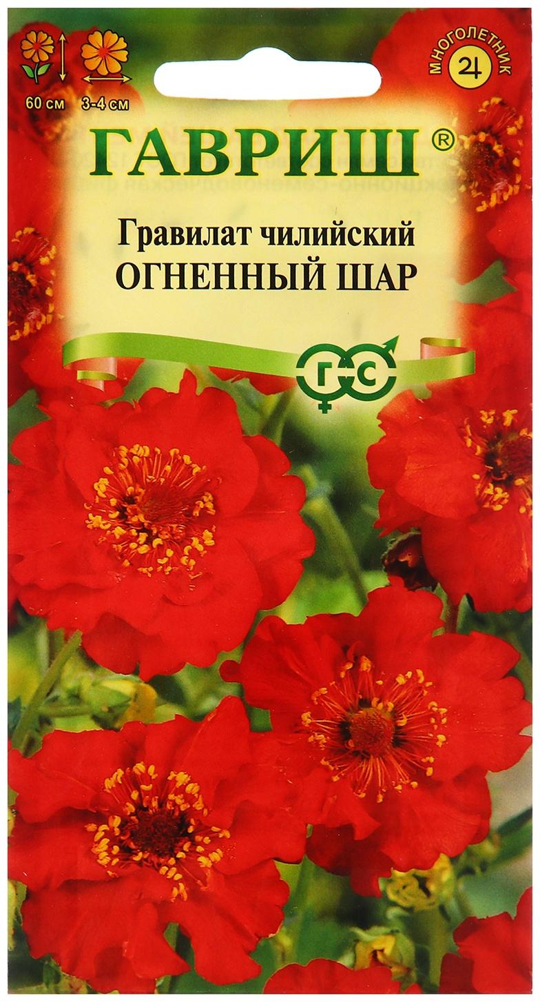 Семена Гравилат 