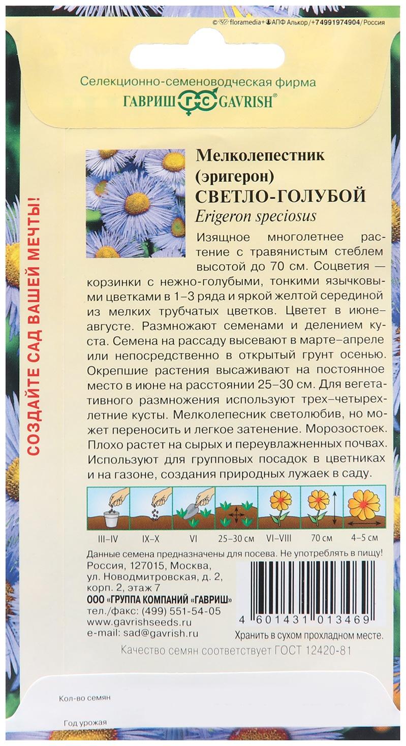 Семена Мелколепестник 