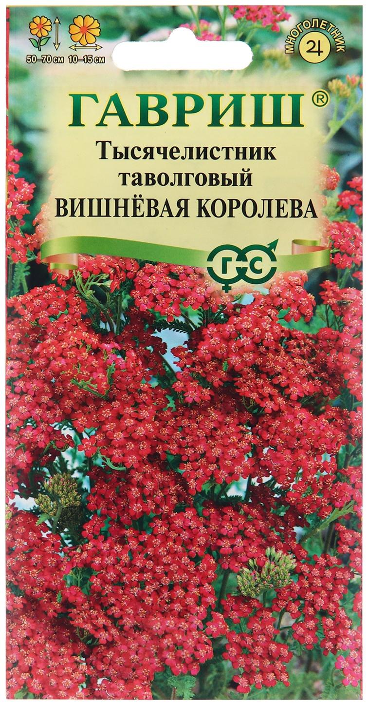 Семена Тысячелистник 