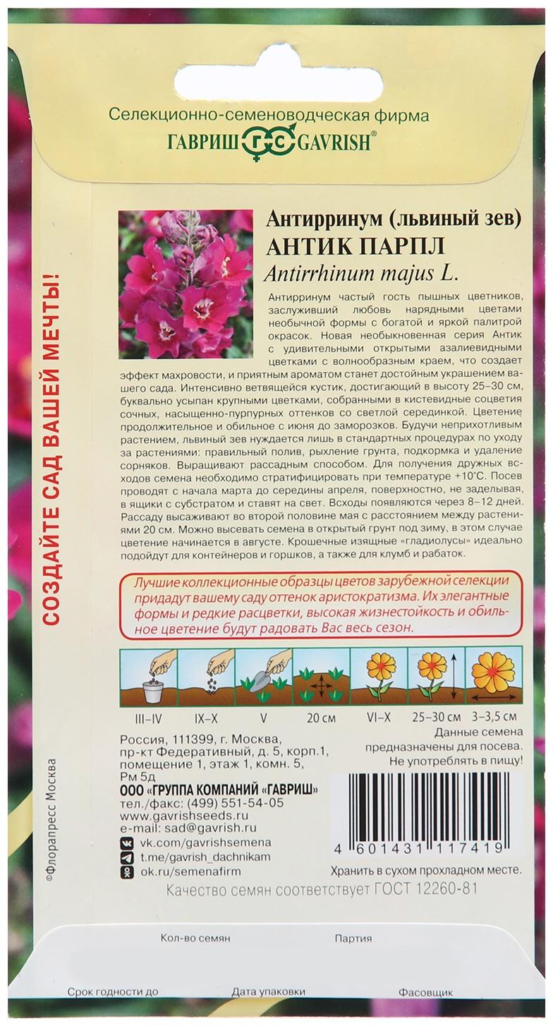 Семена Антирринум 