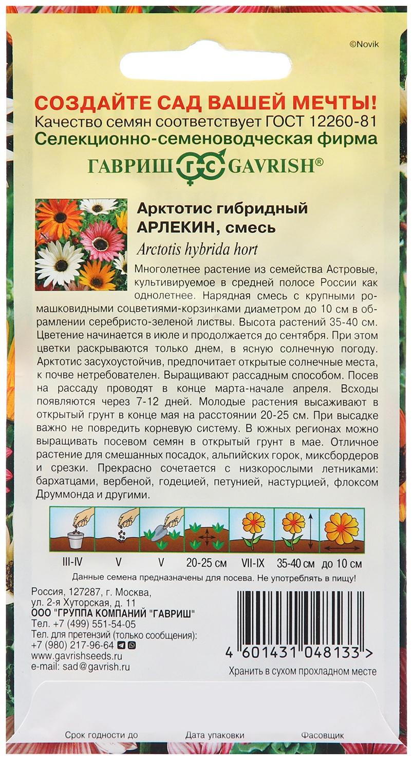 Семена Арктотис 