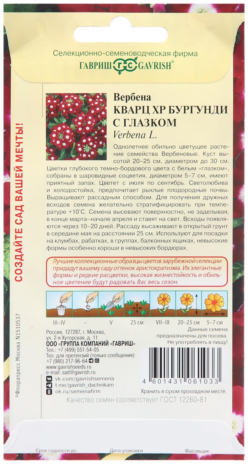 Семена Вербена 