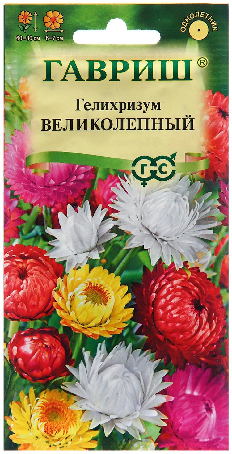 Семена Гелихризум 