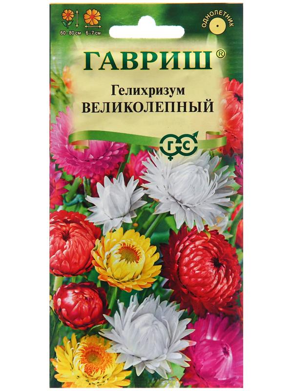 Семена Гелихризум 