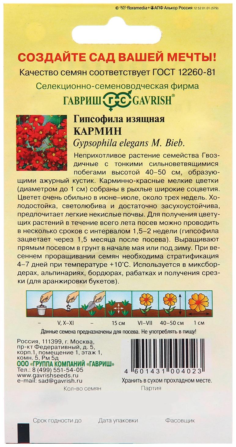 Семена Гипсофила 