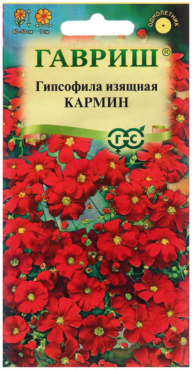 Семена Гипсофила 