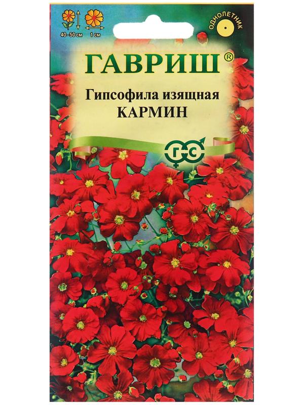 Семена Гипсофила 