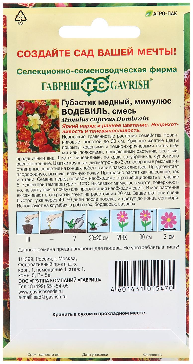 Семена Губастик 