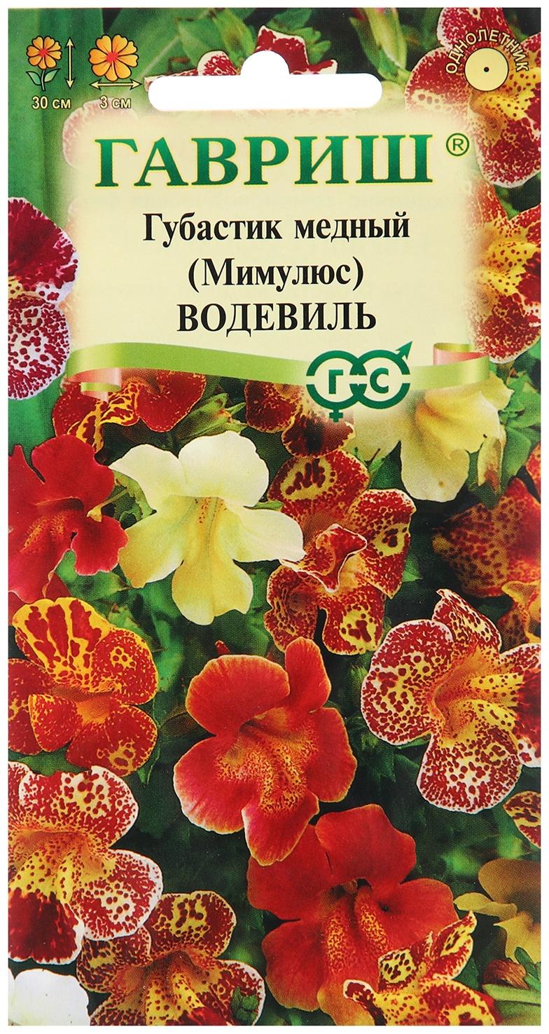 Семена Губастик 