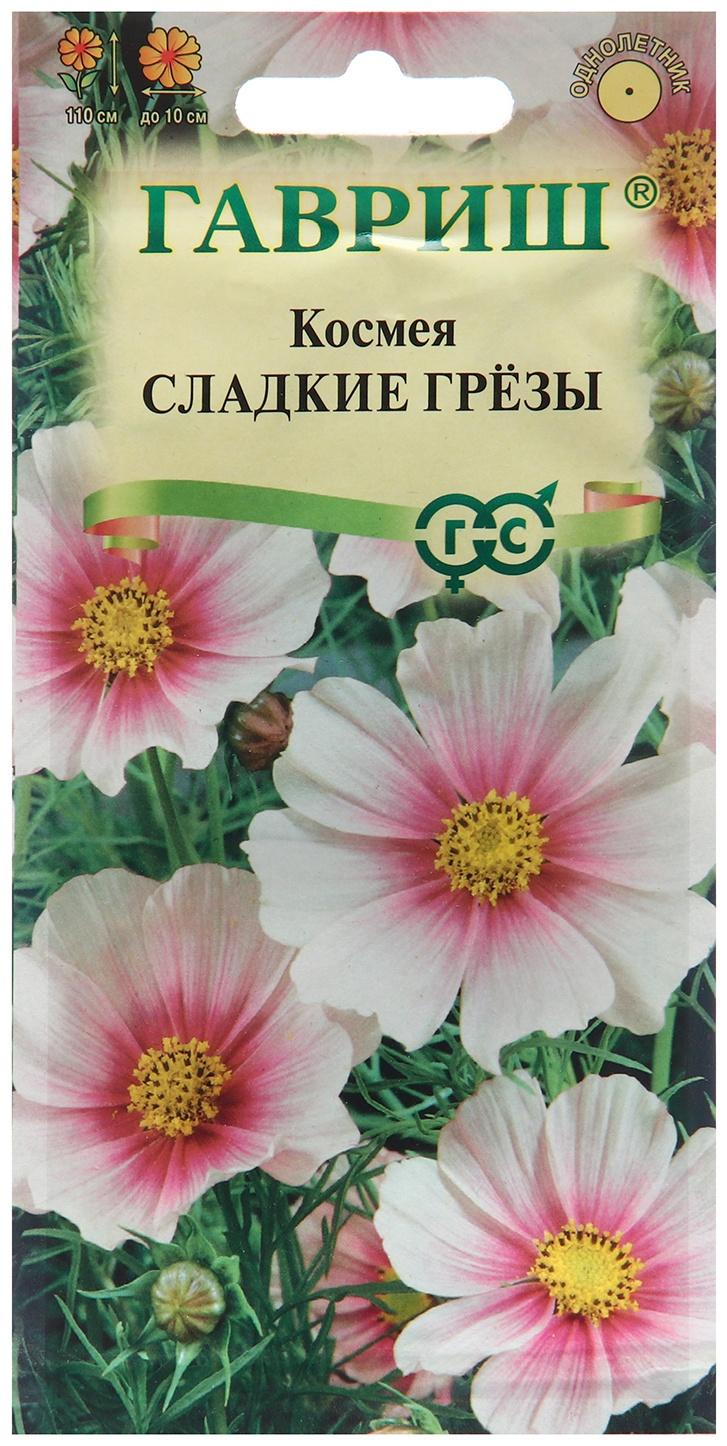 Семена Космея 