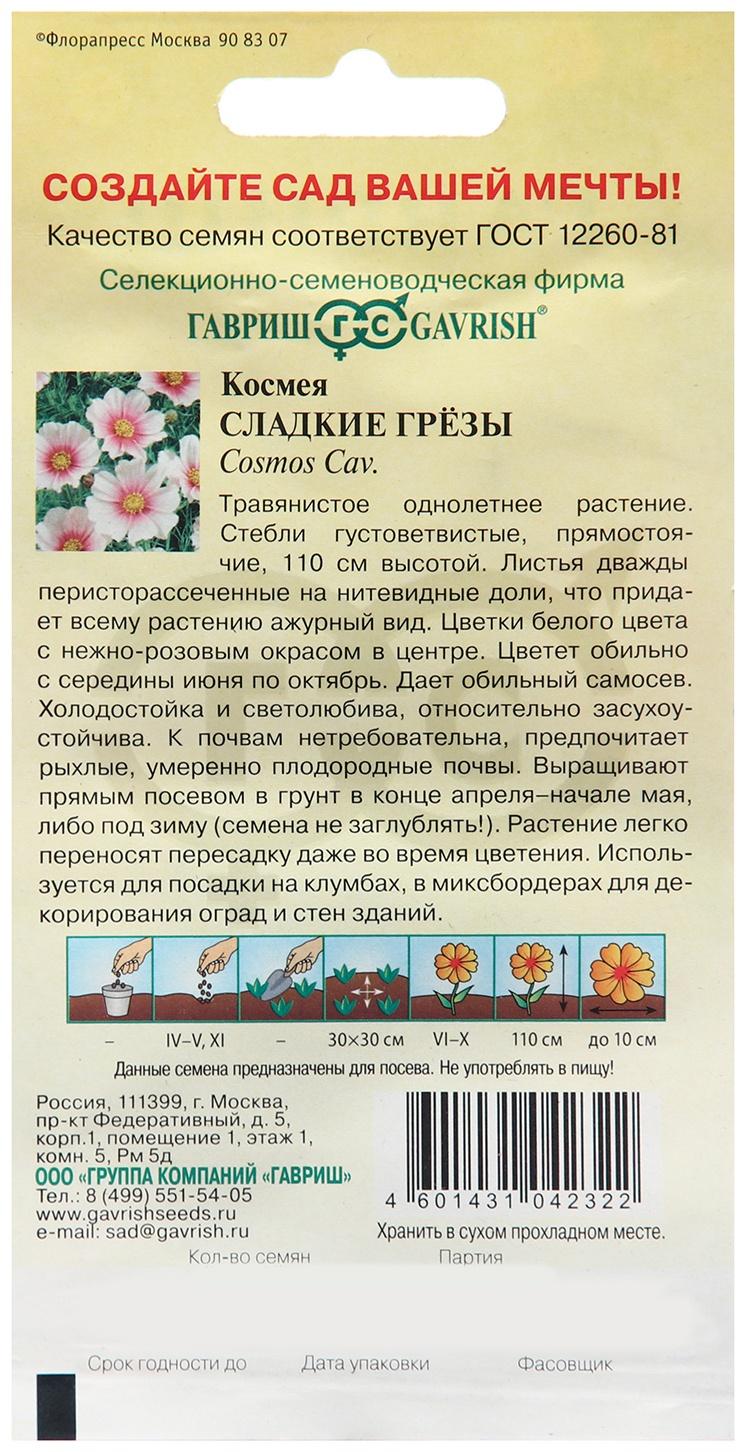 Семена Космея 