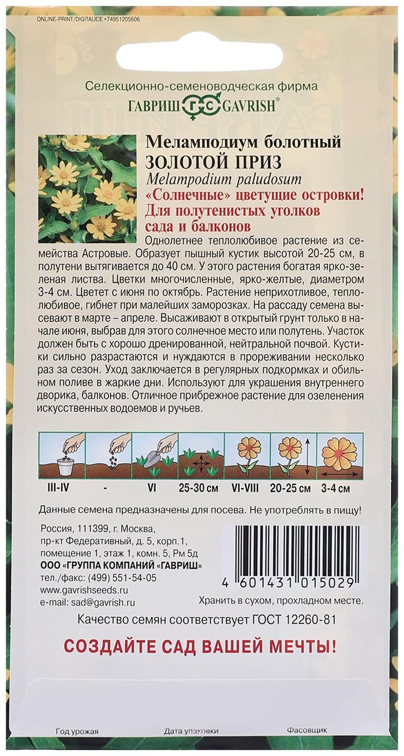 Семена Меламподиум 