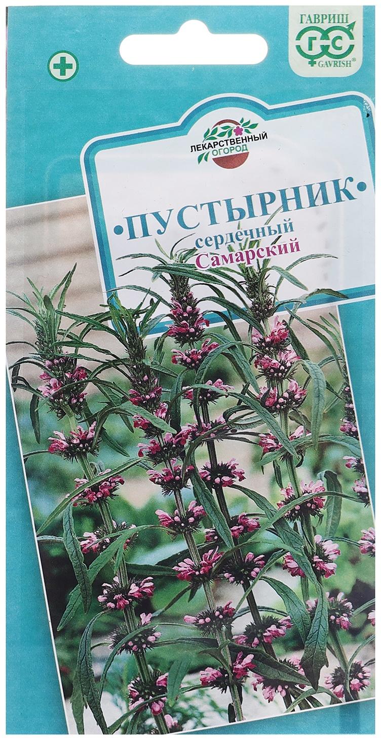 Семена Пустырник 