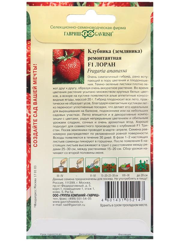 Семена Земляника 