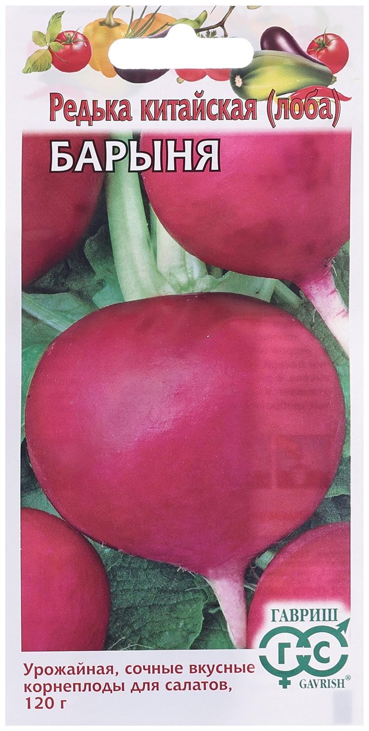 Семена Редька 