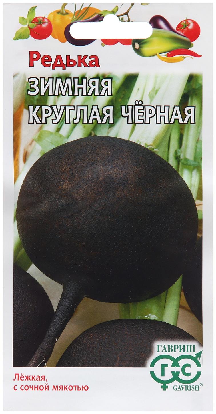 Семена Редька 