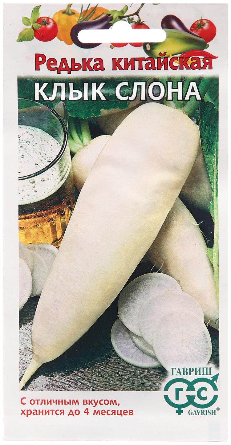 Семена Редька 