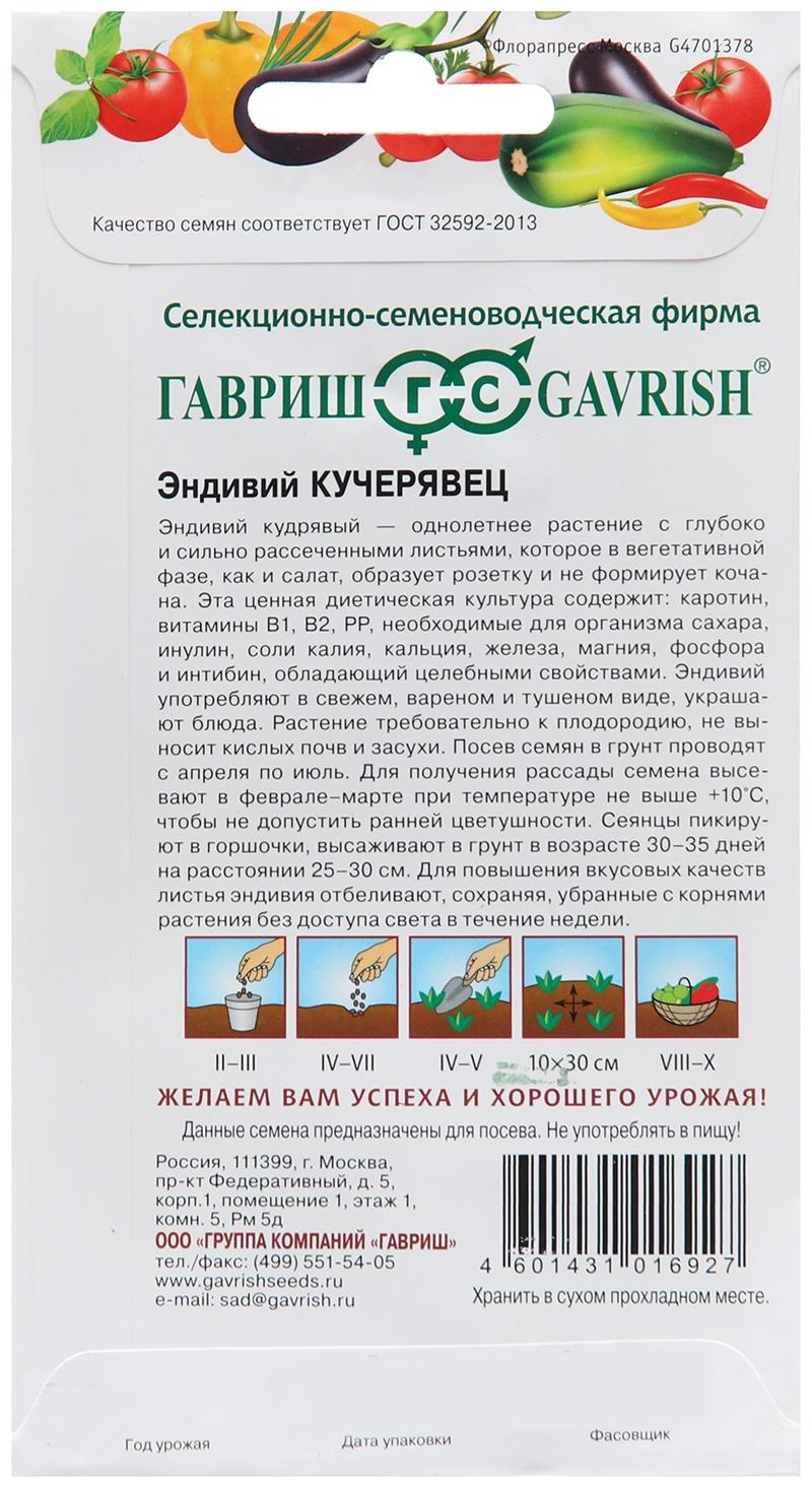 Семена Эндивий 