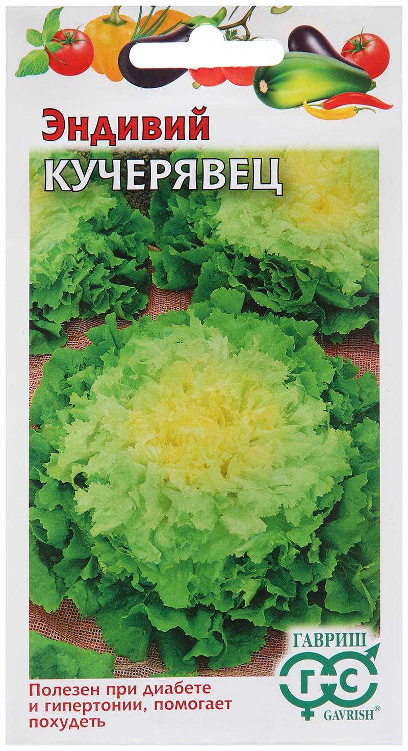 Семена Эндивий 