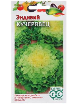 Семена Эндивий 