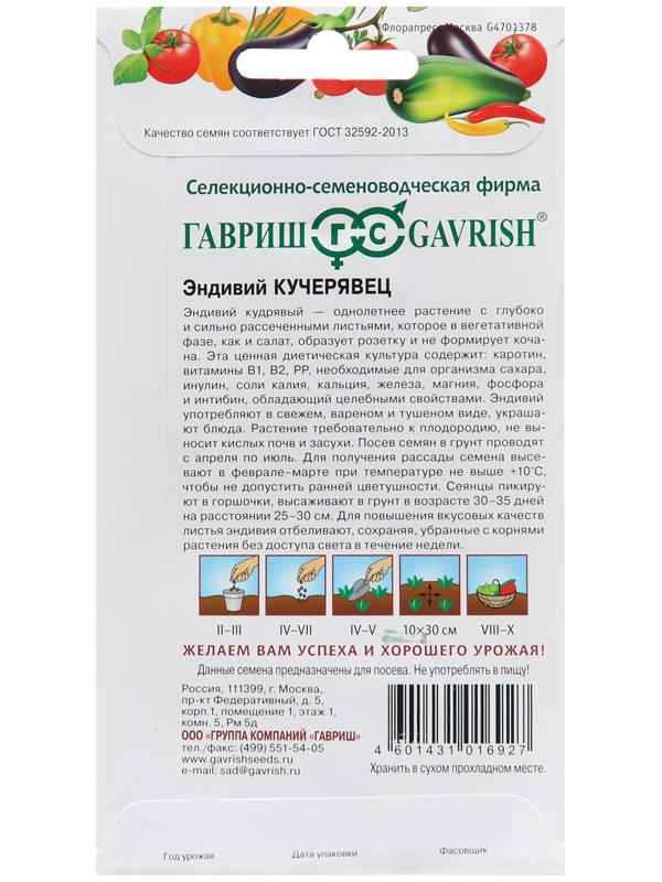 Семена Эндивий 