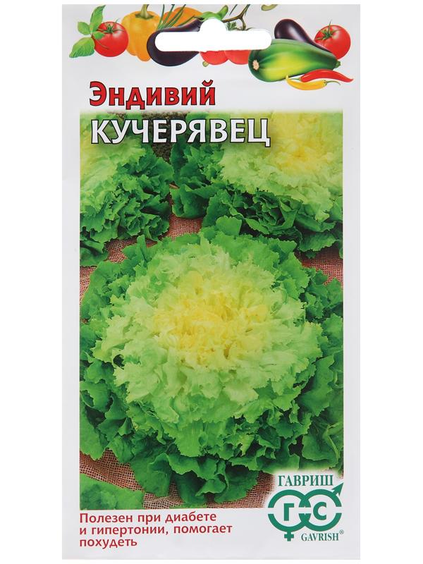 Семена Эндивий 