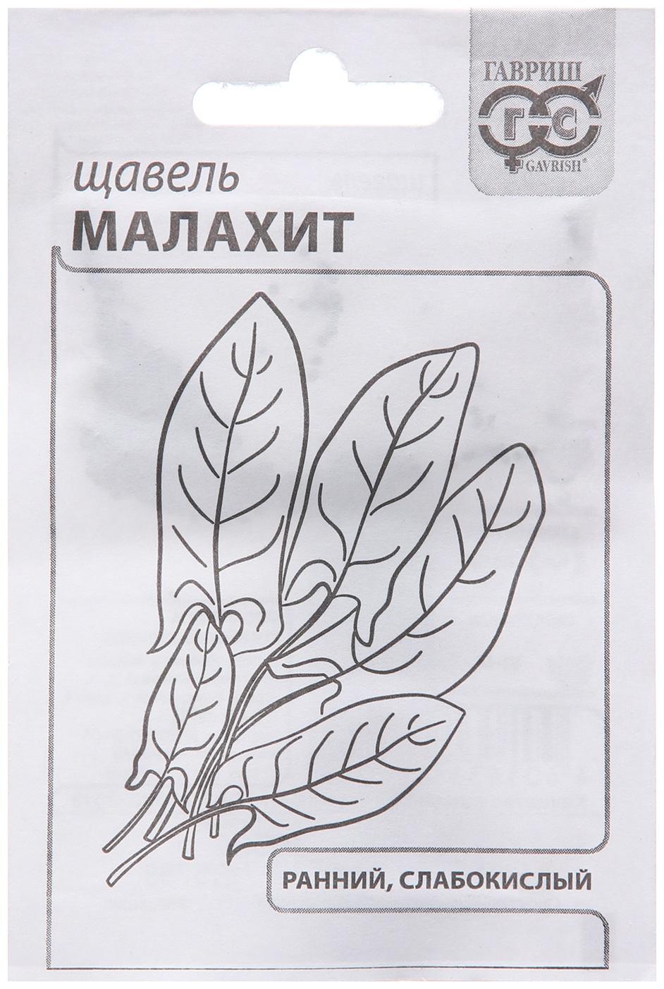 Семена Щавель 