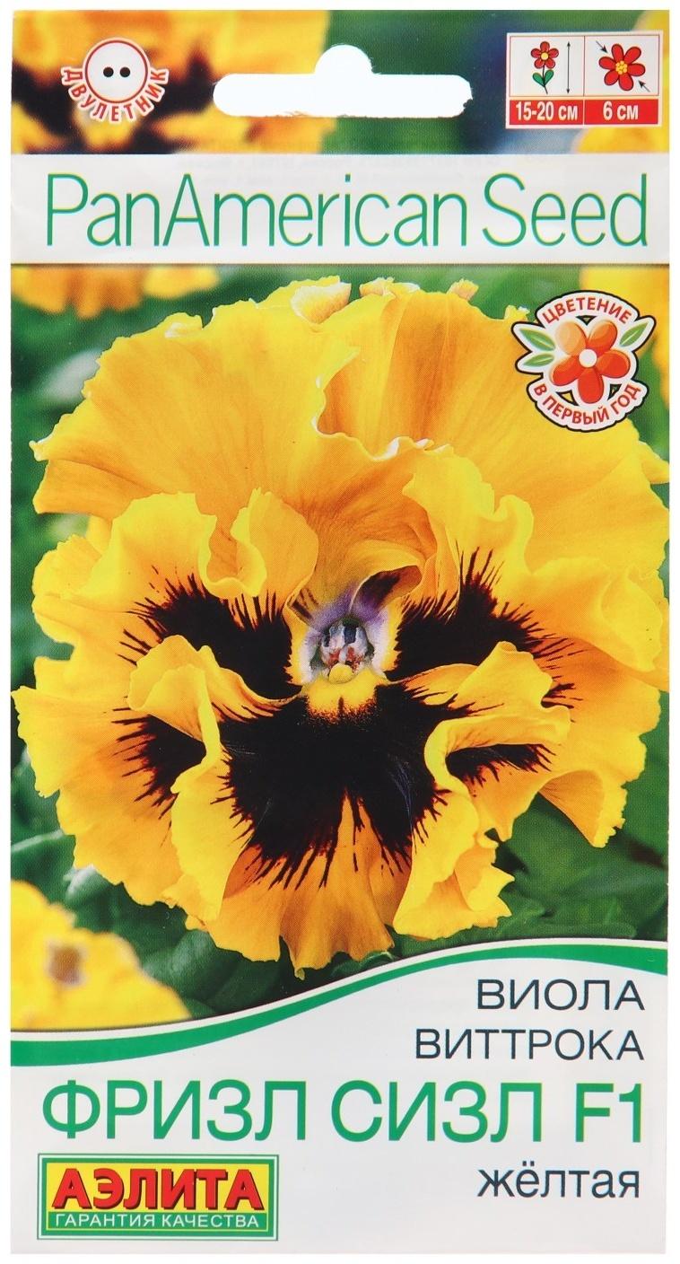 Семена Виола 