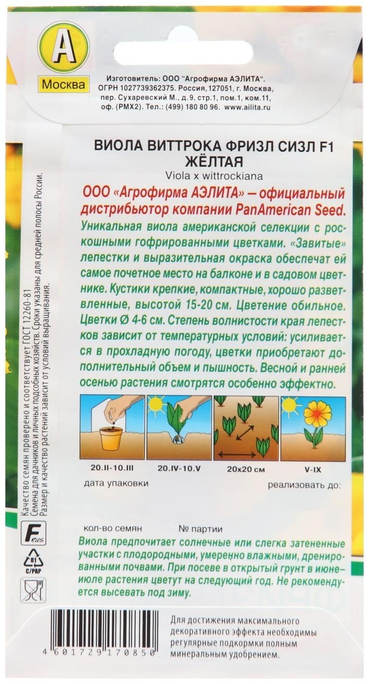 Семена Виола 