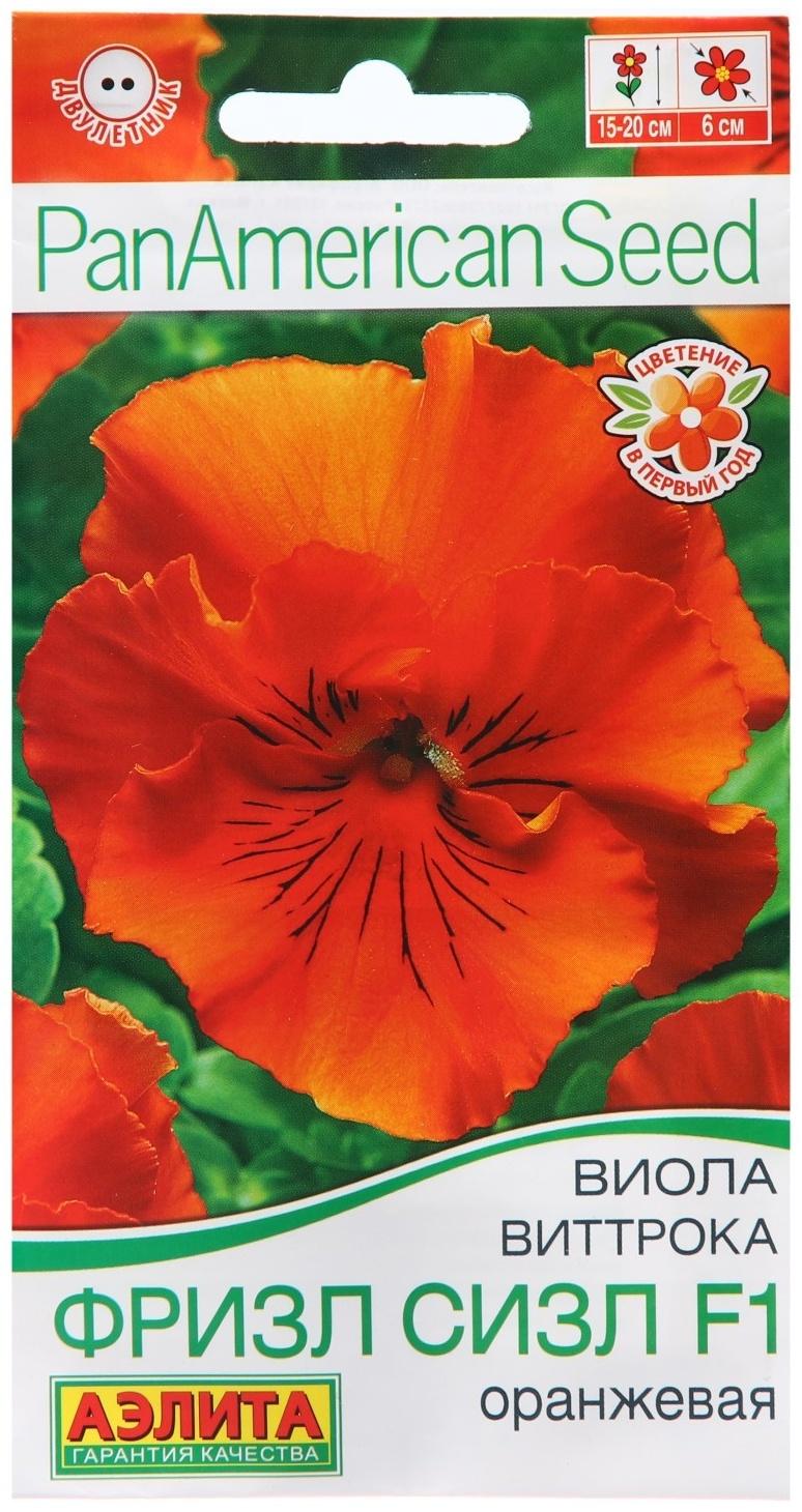 Семена Виола 