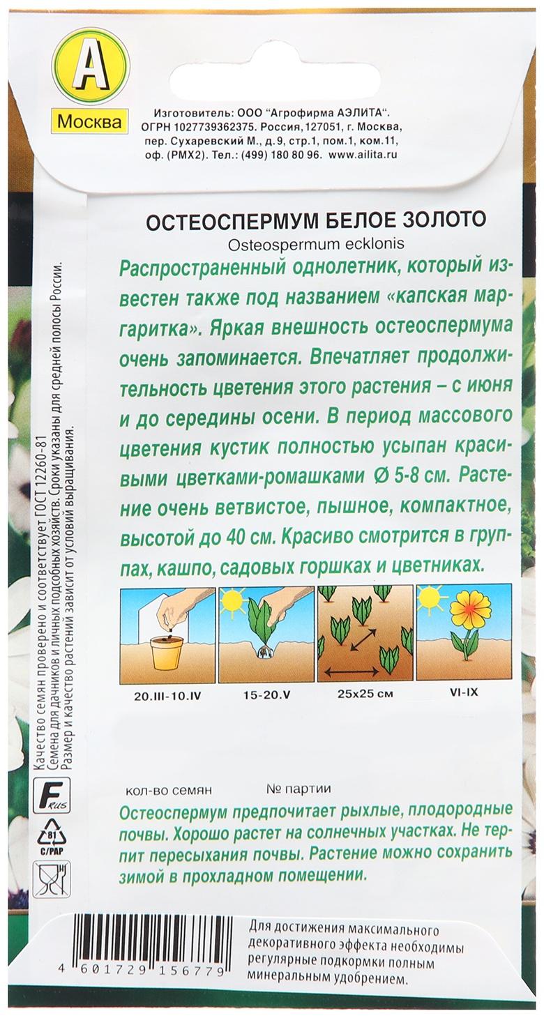Остеоспермум Белое золото --- 10 шт  Одн Золотая серия