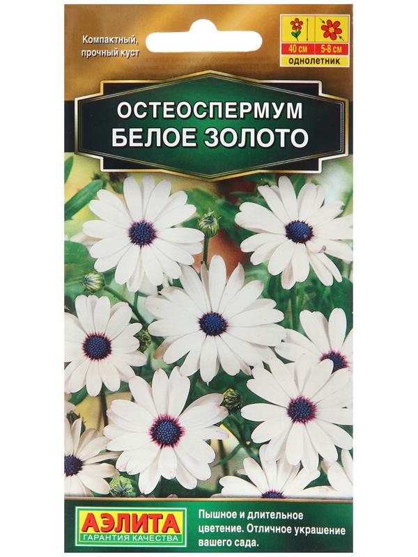 Остеоспермум Белое золото --- 10 шт  Одн Золотая серия