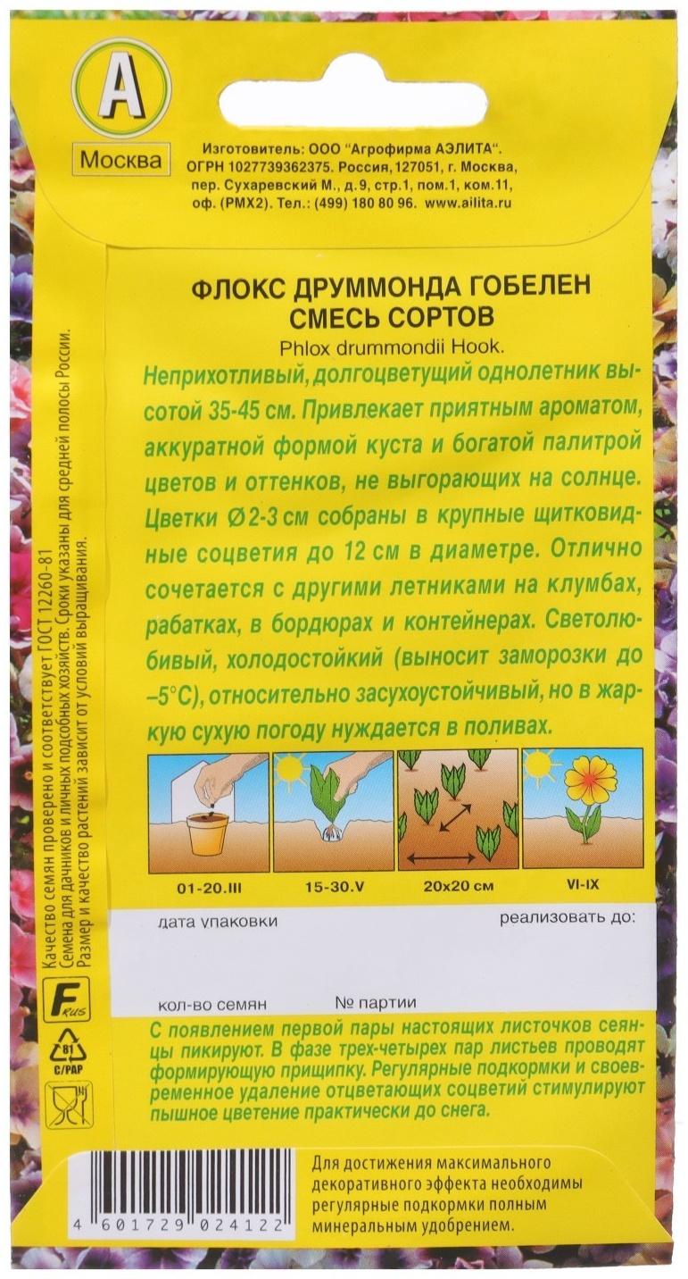 Семена Флокс 