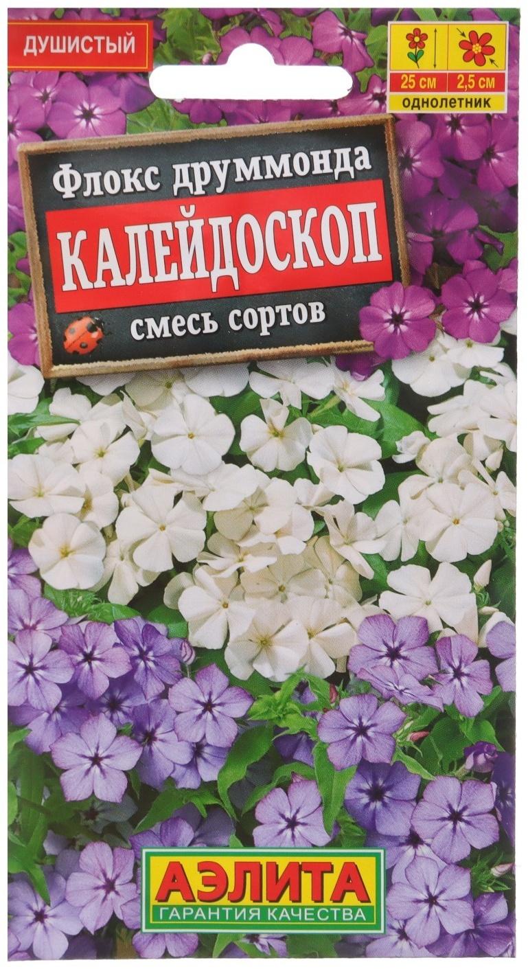 Семена Флокс 