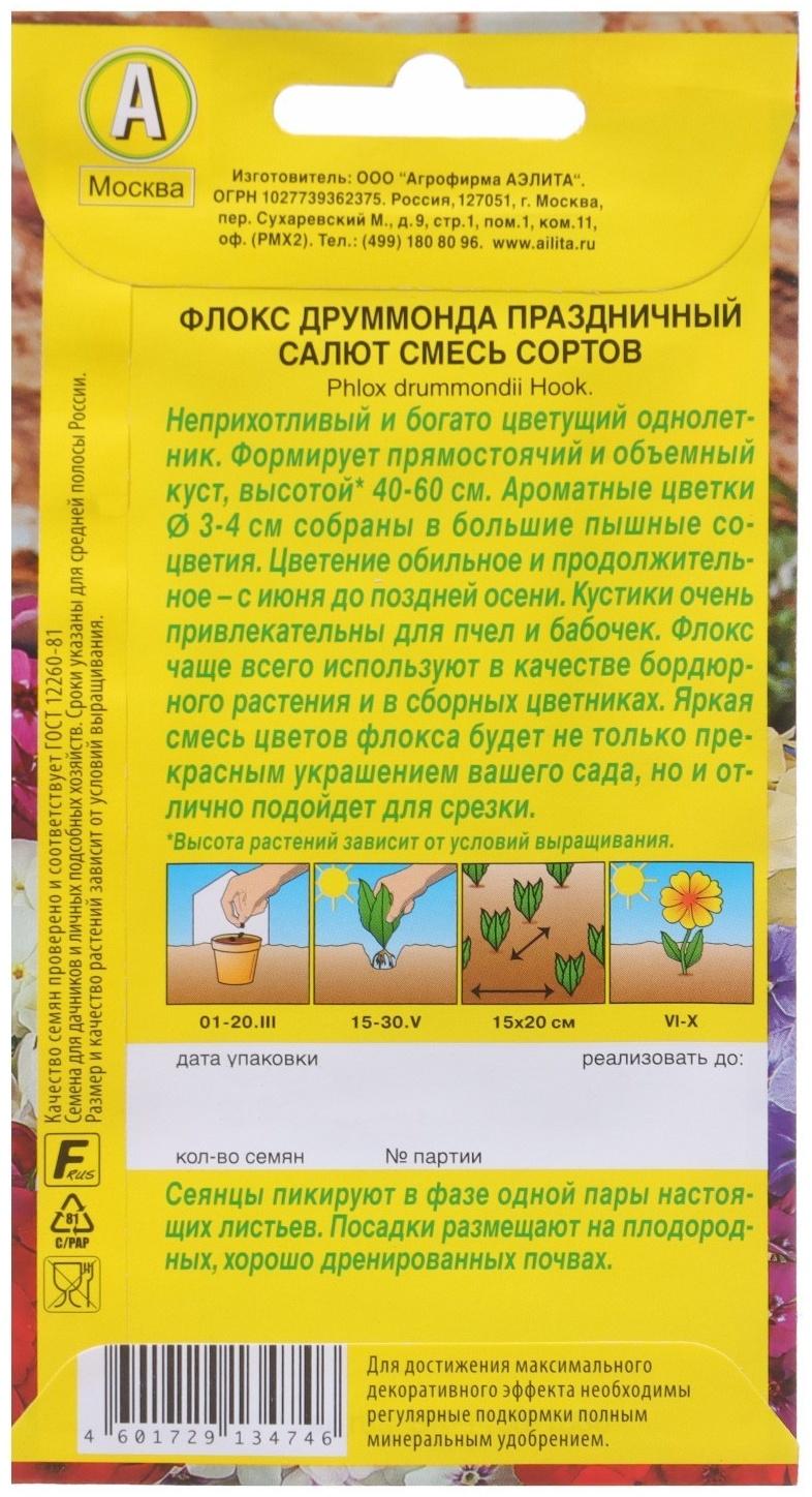 Семена Флокс 