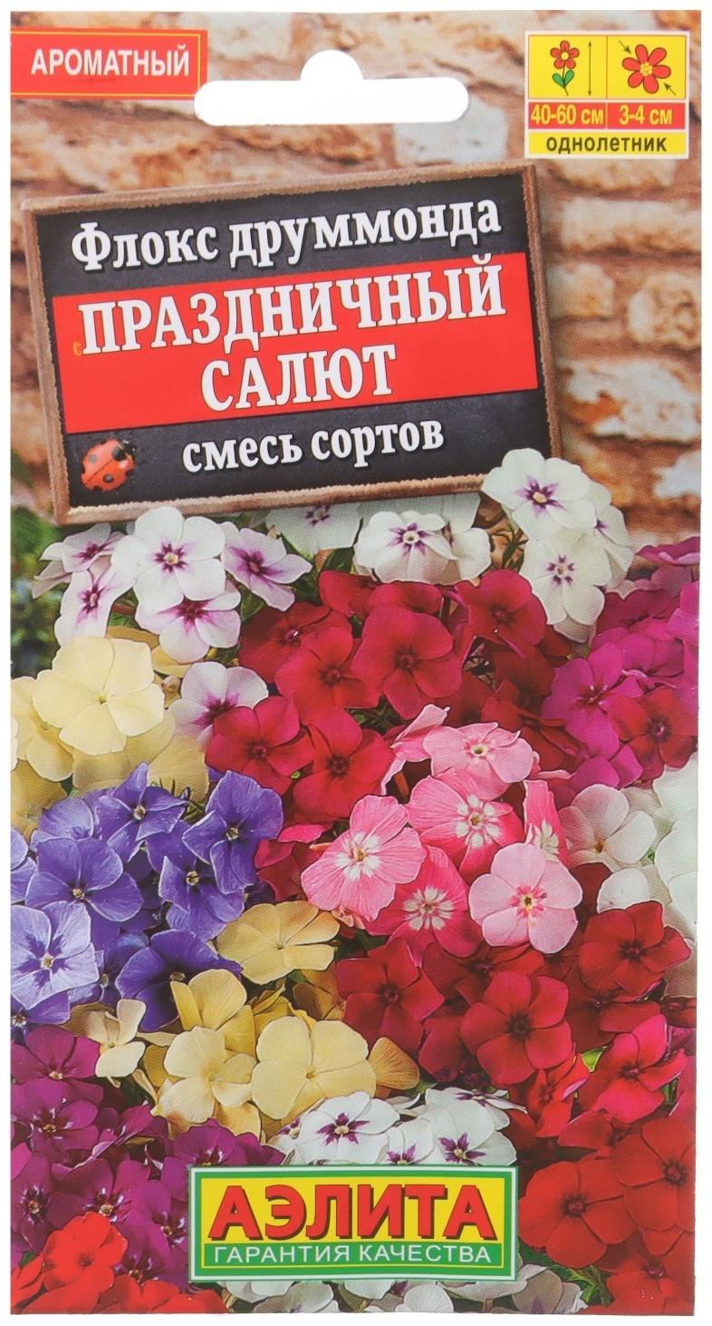 Семена Флокс 