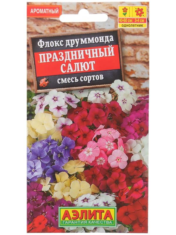 Семена Флокс 