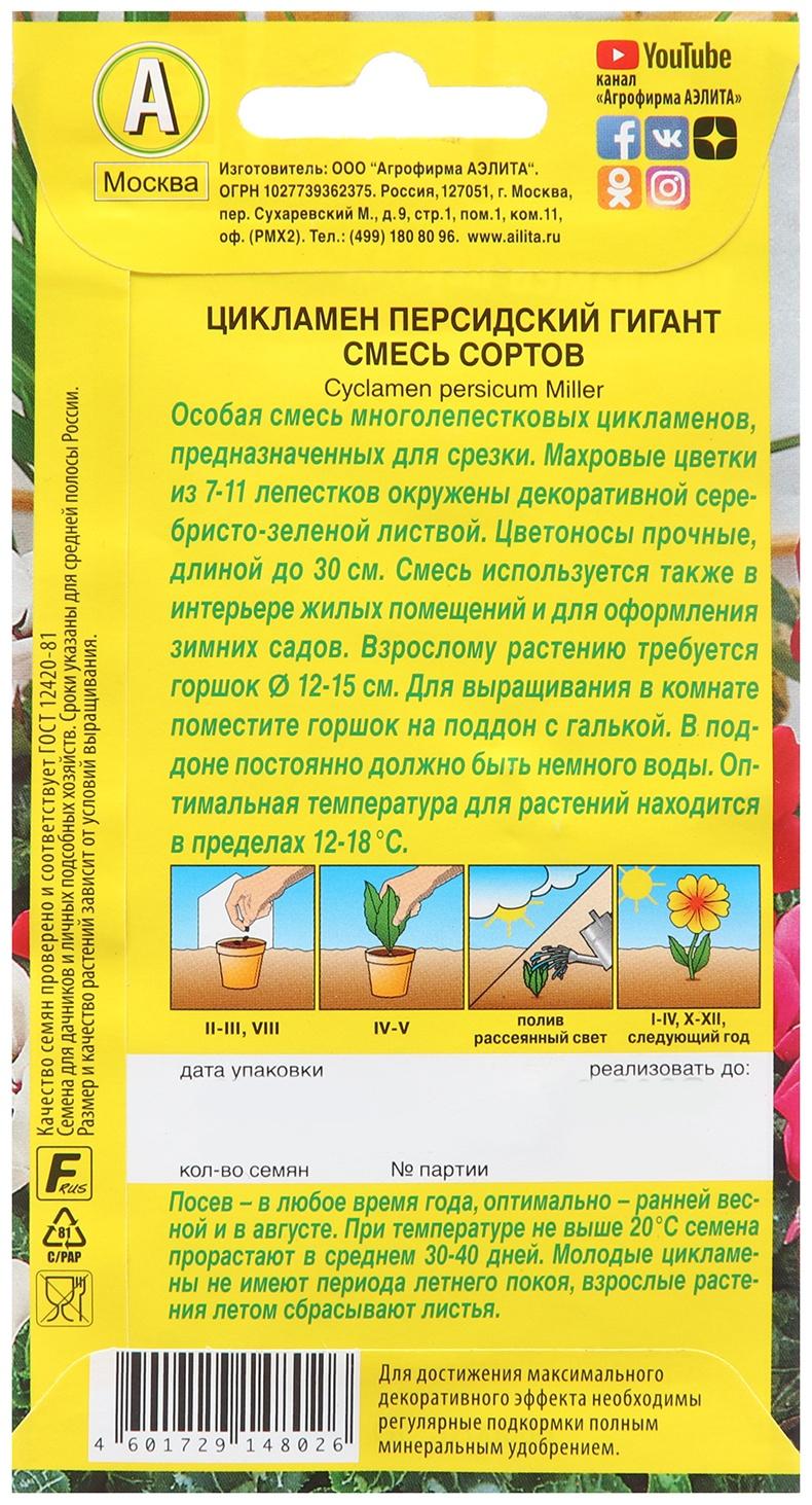 Цикламен персидский Гигант, смесь сортов ---3 шт.   Мн