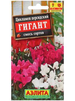Цикламен персидский Гигант, смесь сортов ---3 шт.   Мн