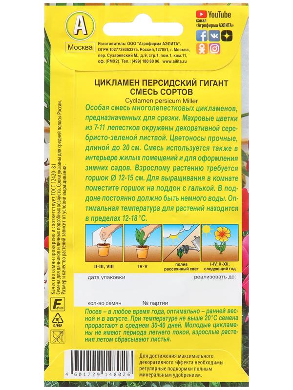 Цикламен персидский Гигант, смесь сортов ---3 шт.   Мн