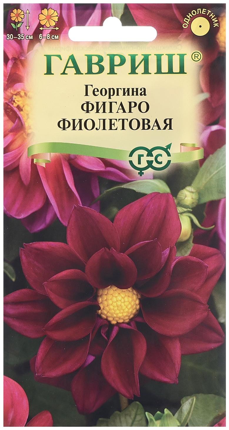 Семена Георгина 