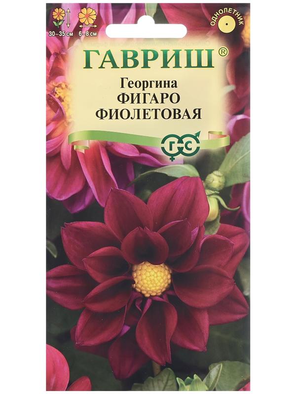 Семена Георгина 