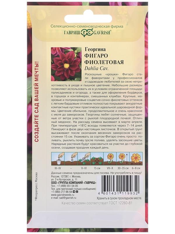 Семена Георгина 