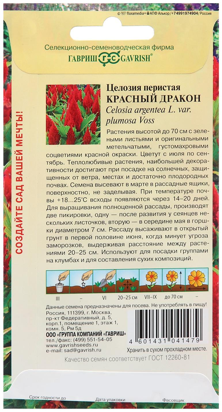 Семена Целозия 