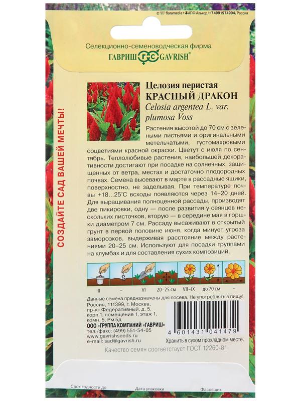 Семена Целозия 