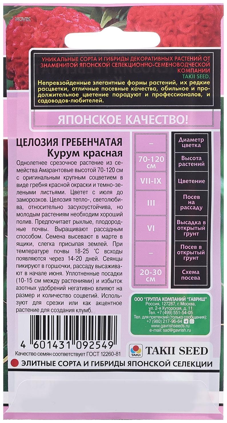 Семена Целозия 