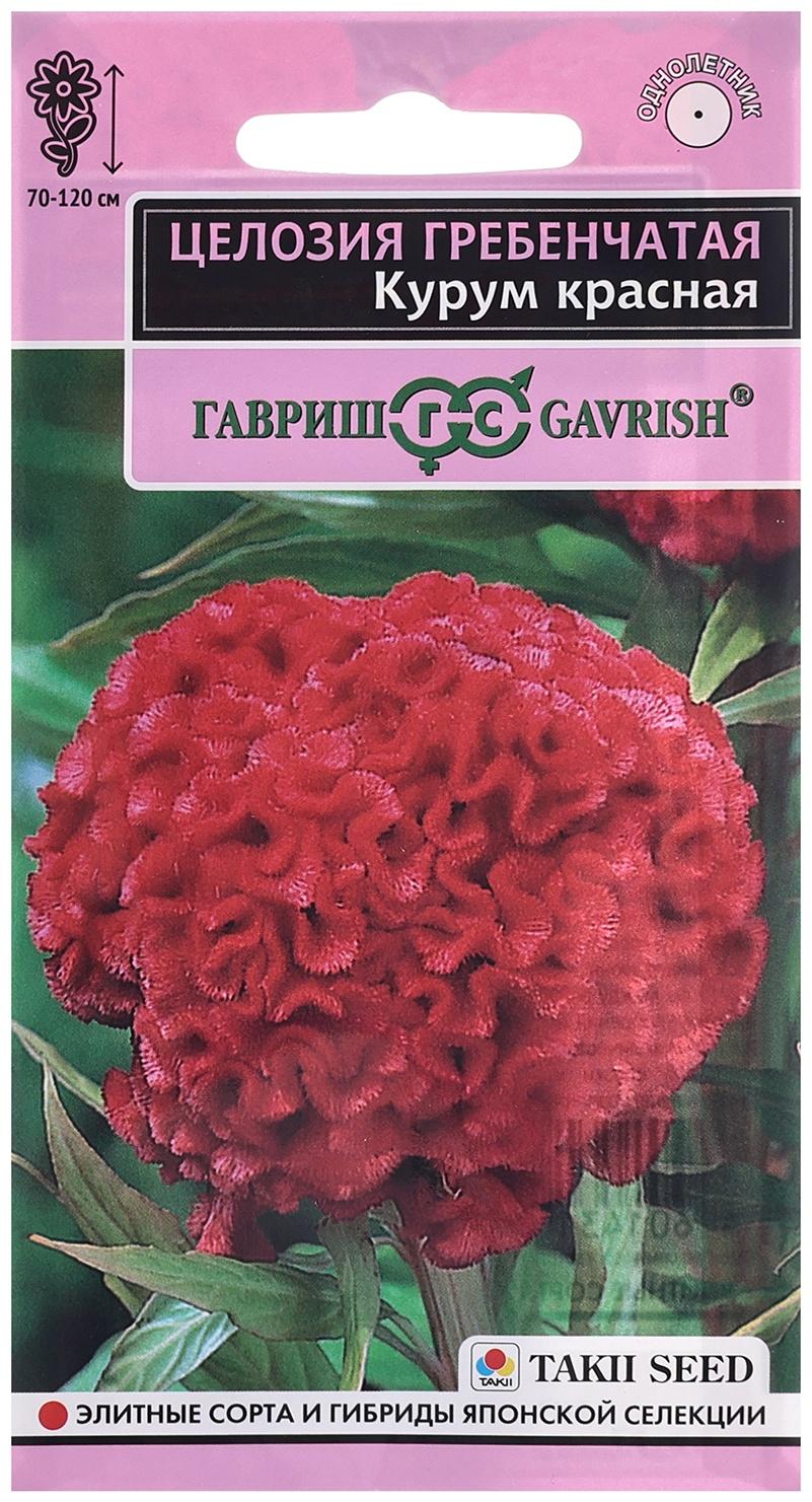 Семена Целозия 