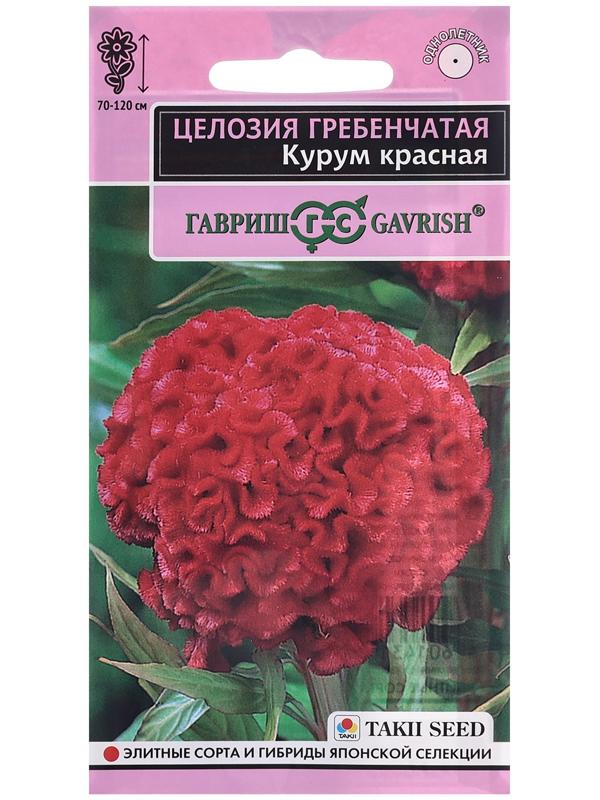 Семена Целозия 