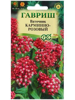 Семена Ваточник 